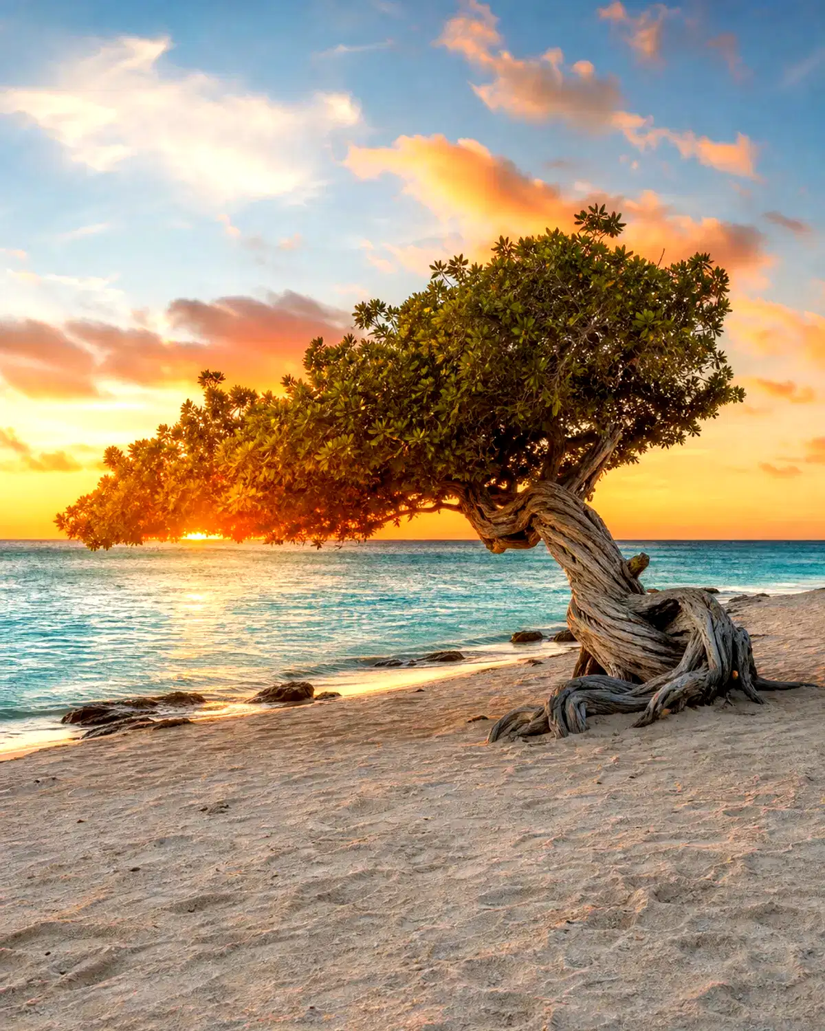 Aruba landscape