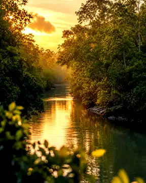 Bangladesh travel photography