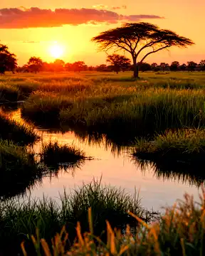 Botswana travel photography