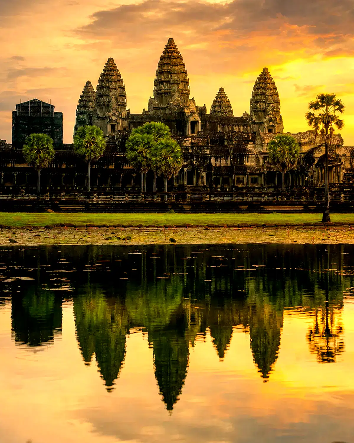 Cambodia landscape