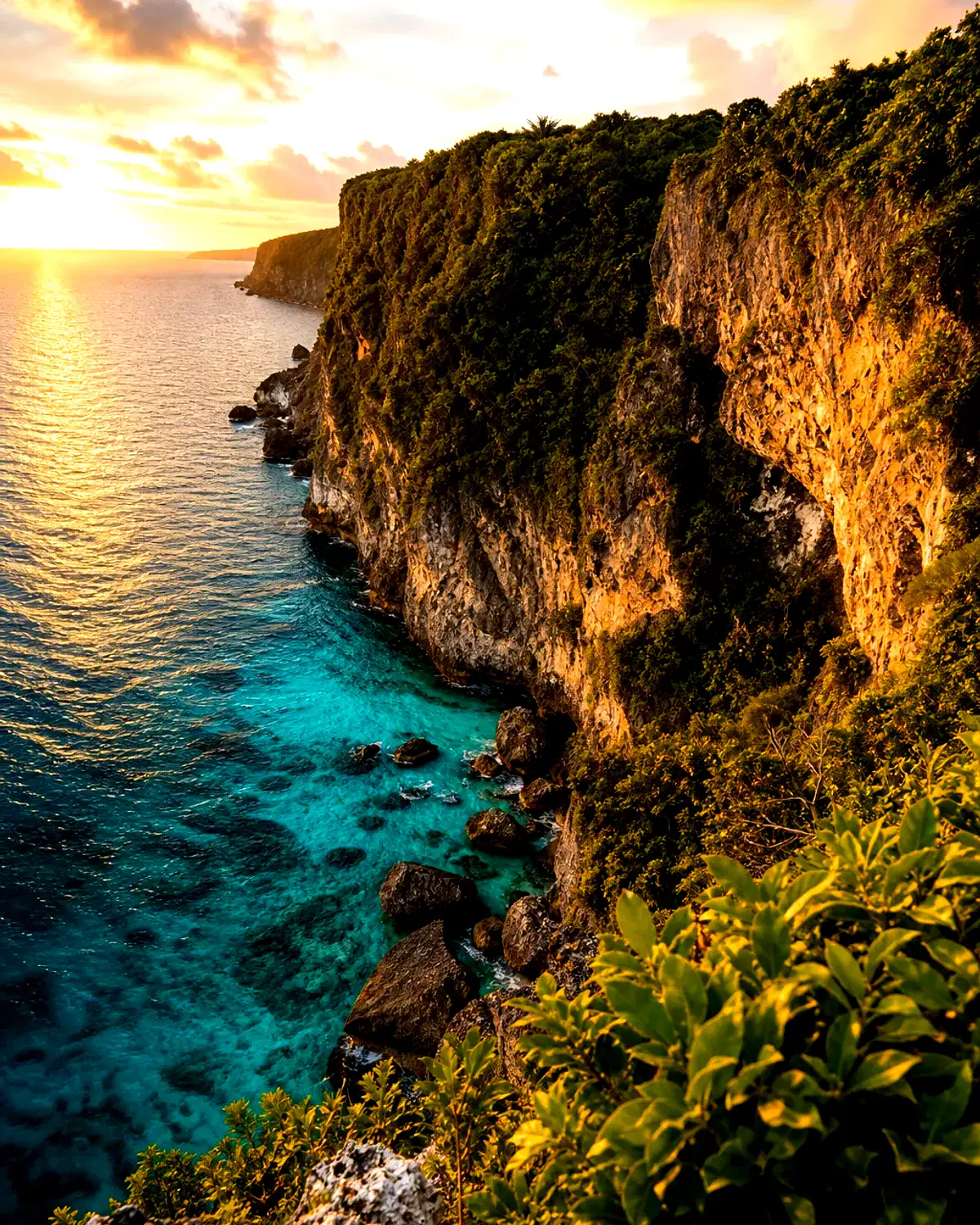 Christmas Island landscape