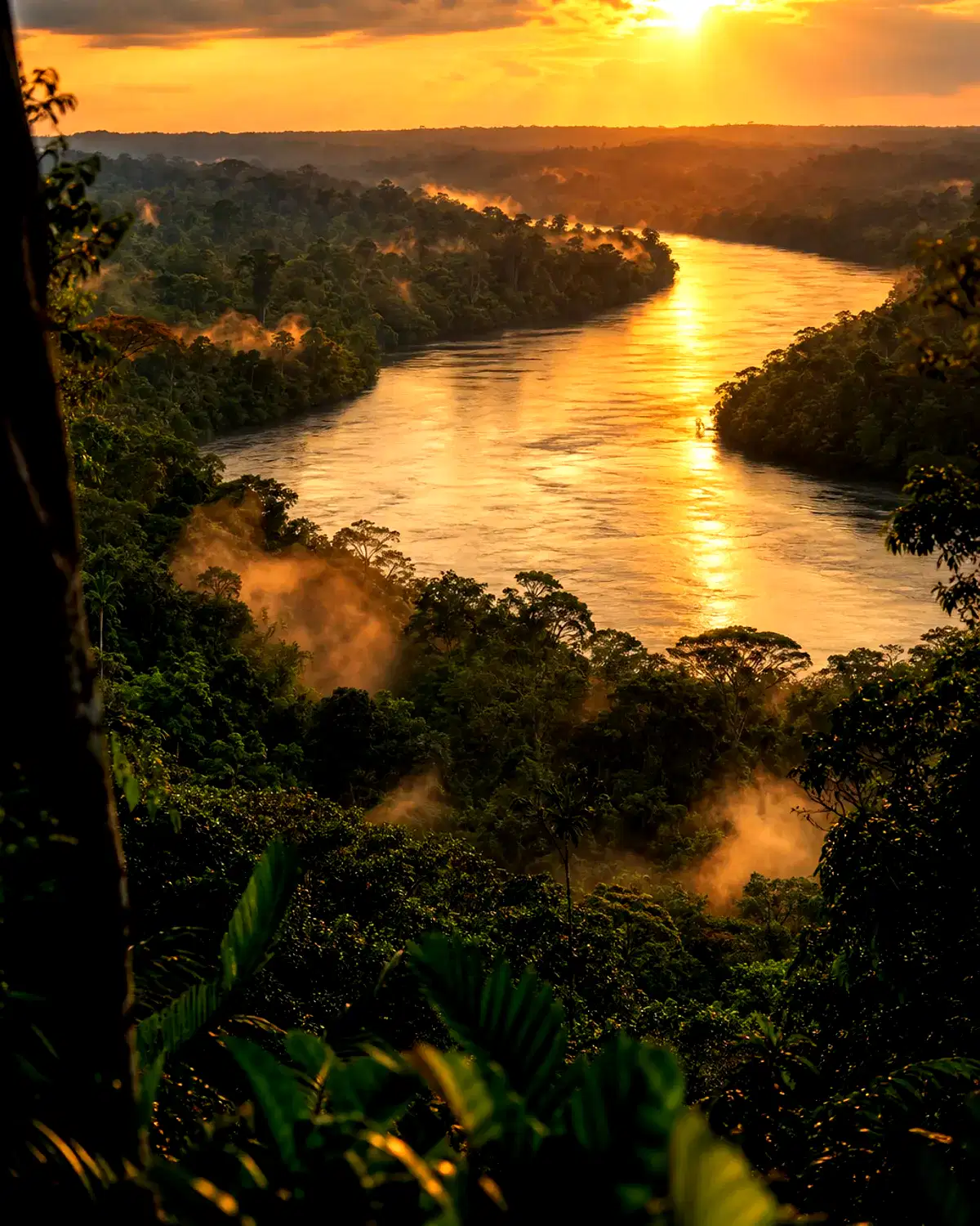 Congo landscape