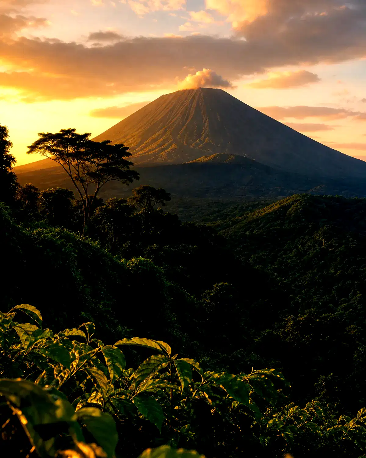 DR Congo landscape