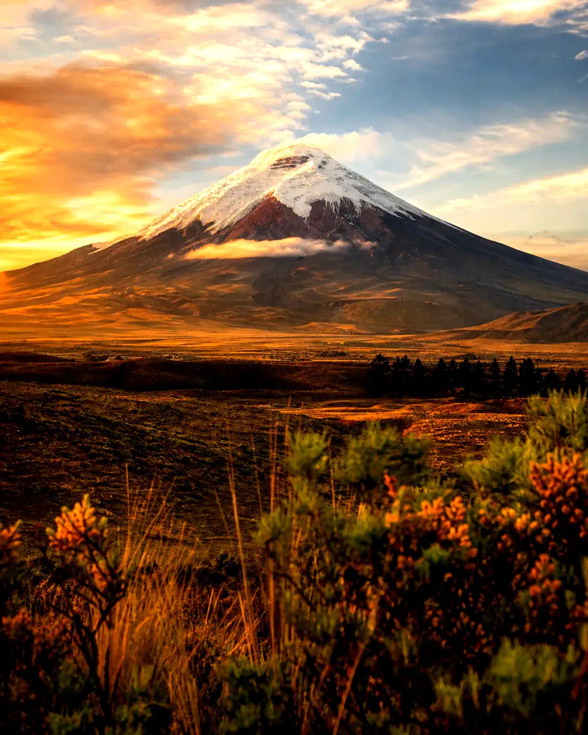 Ecuador landscape