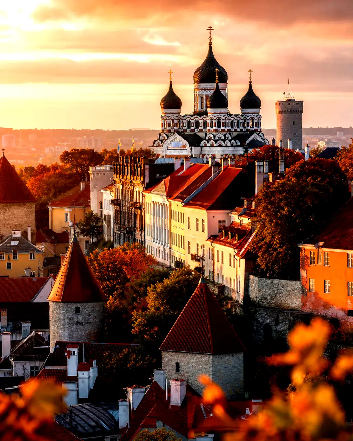 Estonia landscape
