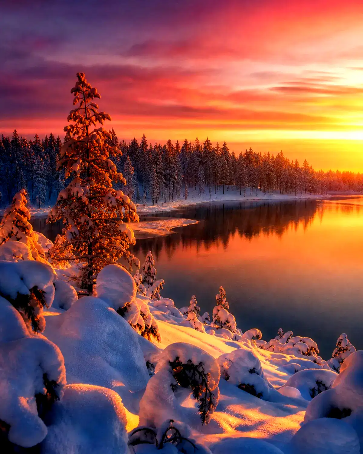 Finland landscape