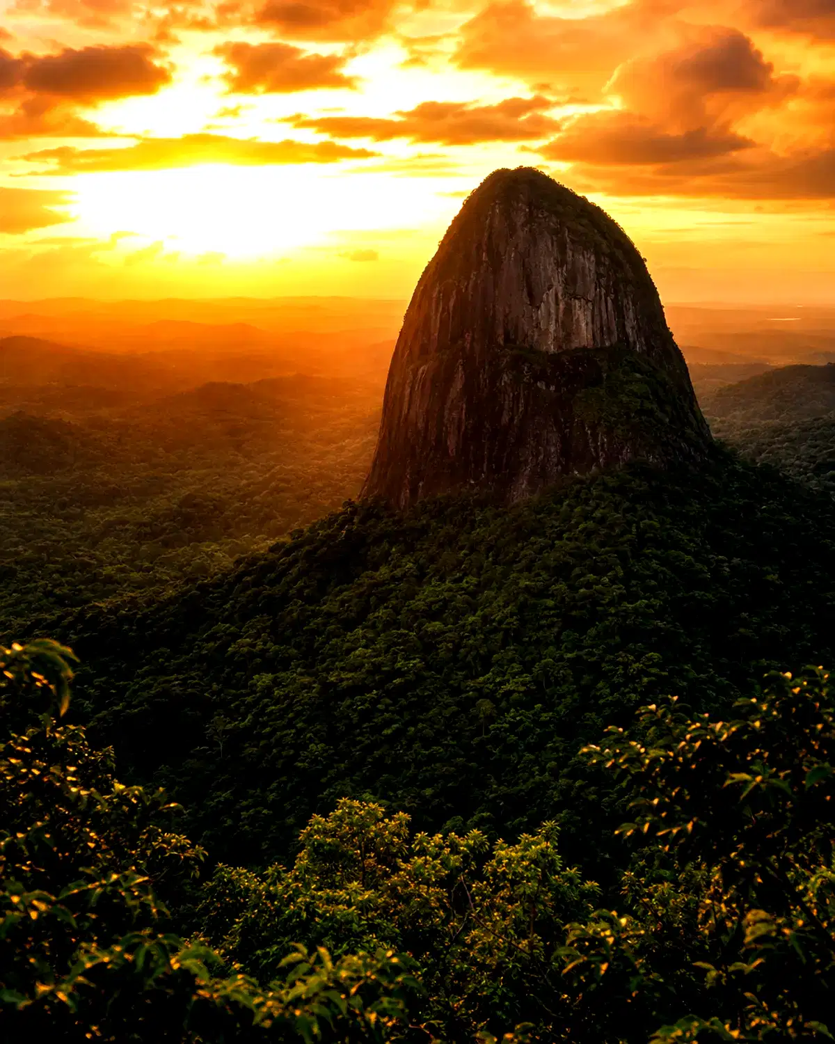 French Guiana landscape