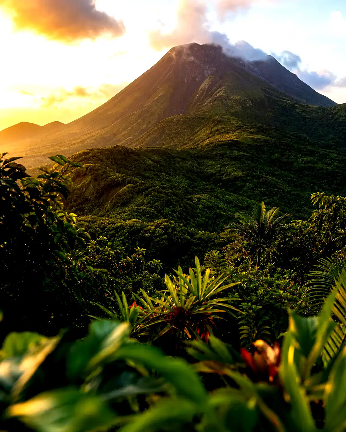 Guadeloupe landscape