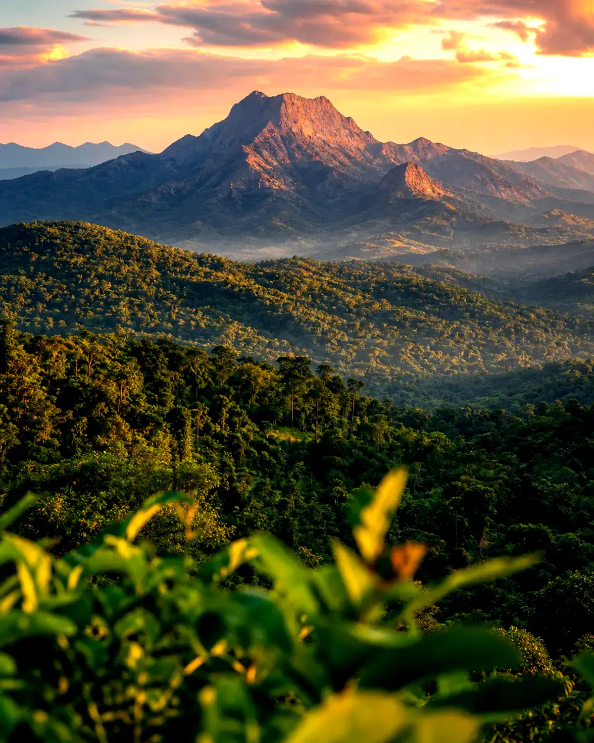 Guinea landscape