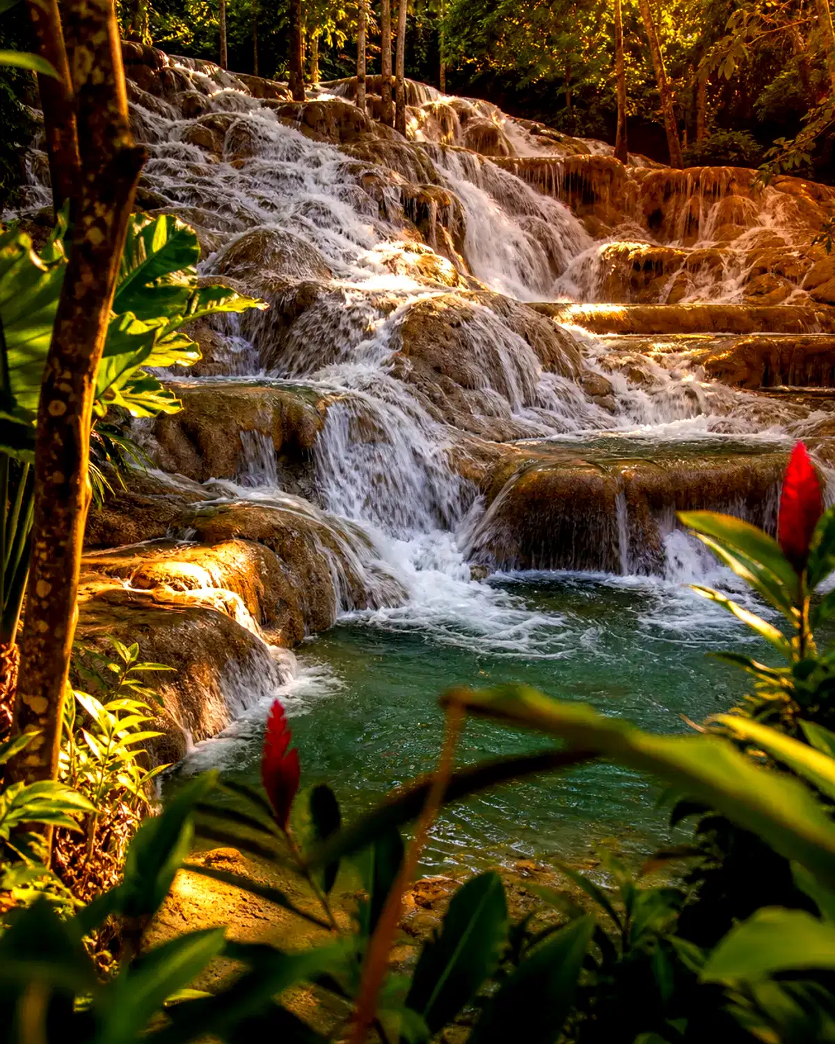 Jamaica landscape