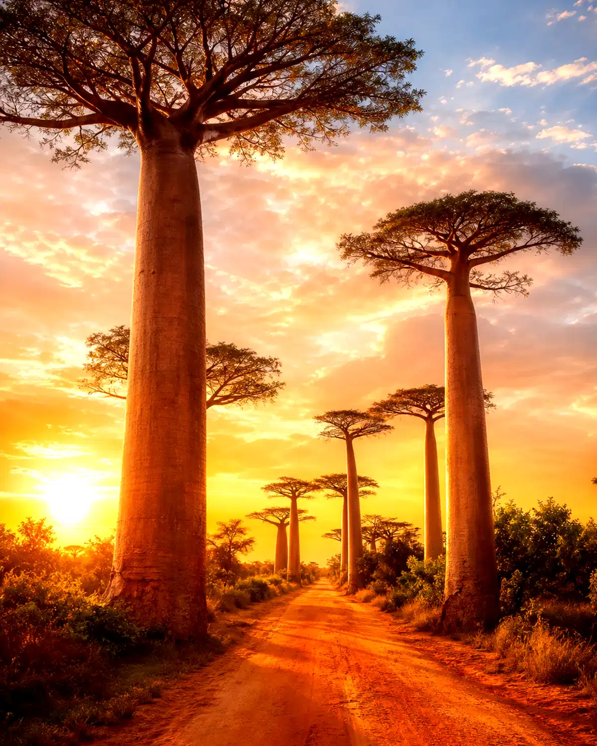 Madagascar landscape