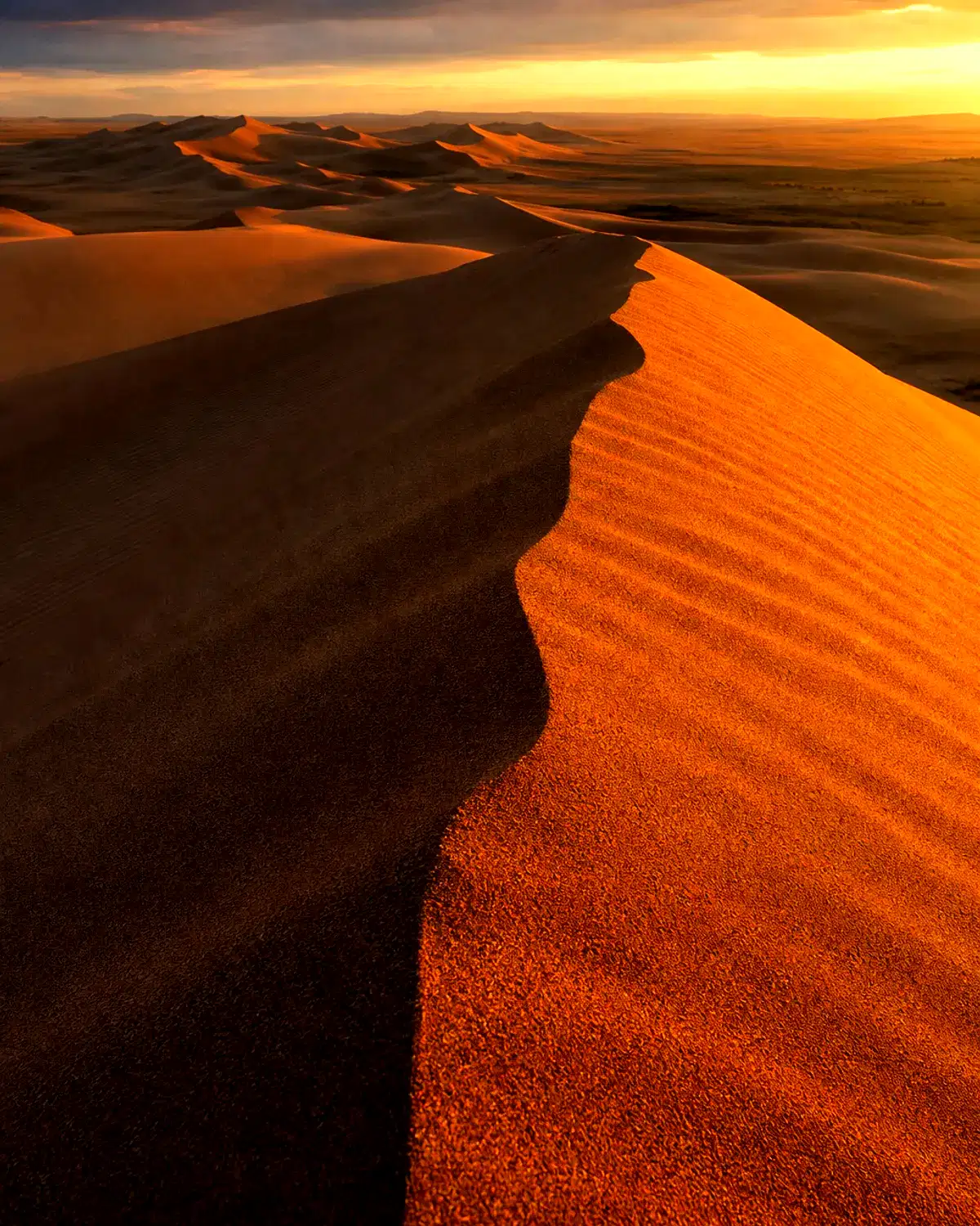 Mongolia landscape