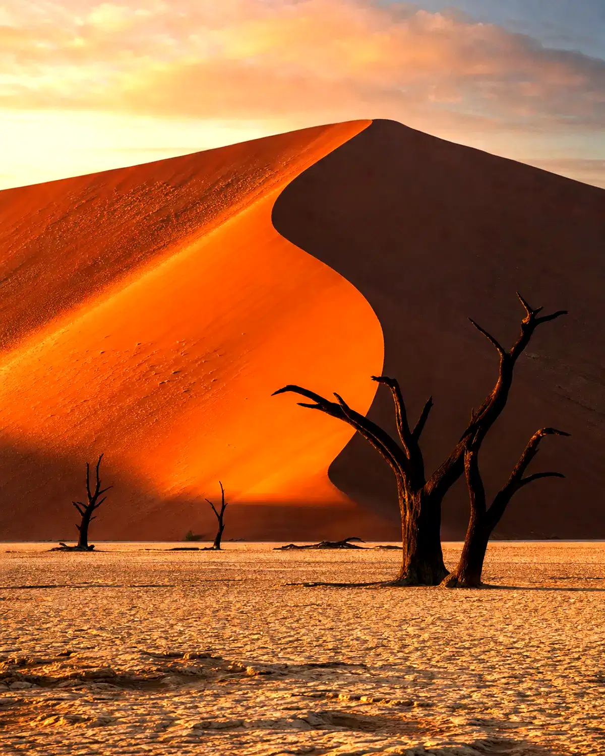 Namibia landscape
