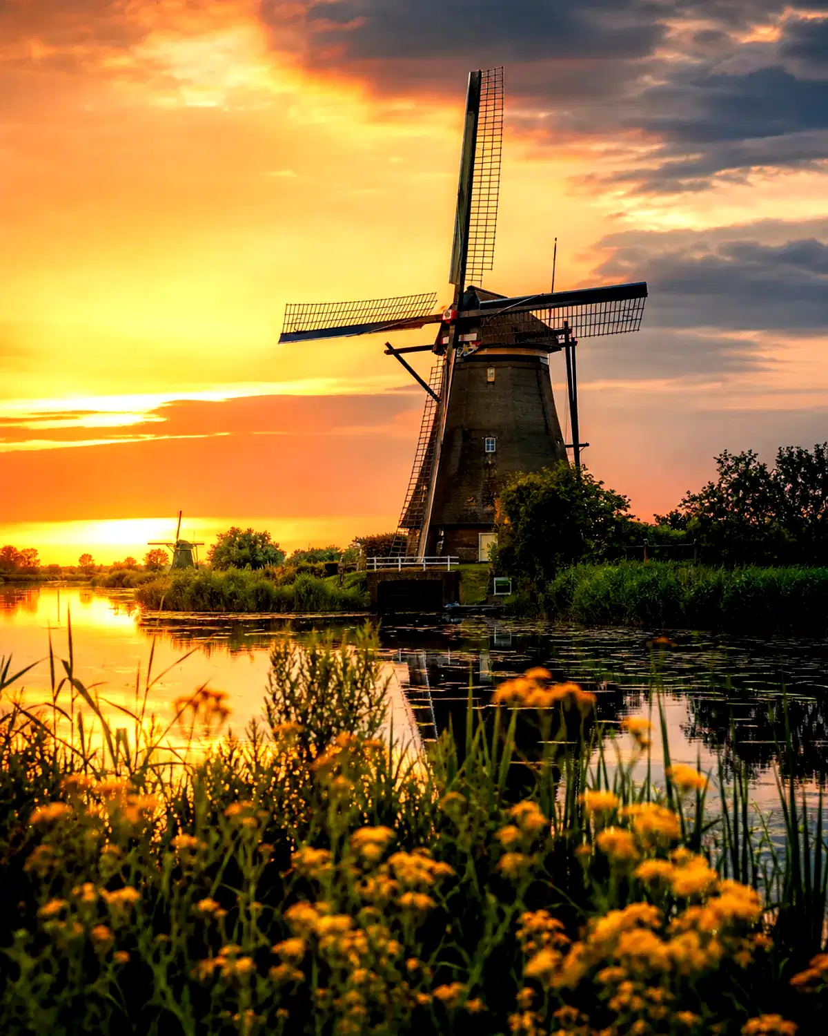 Netherlands landscape