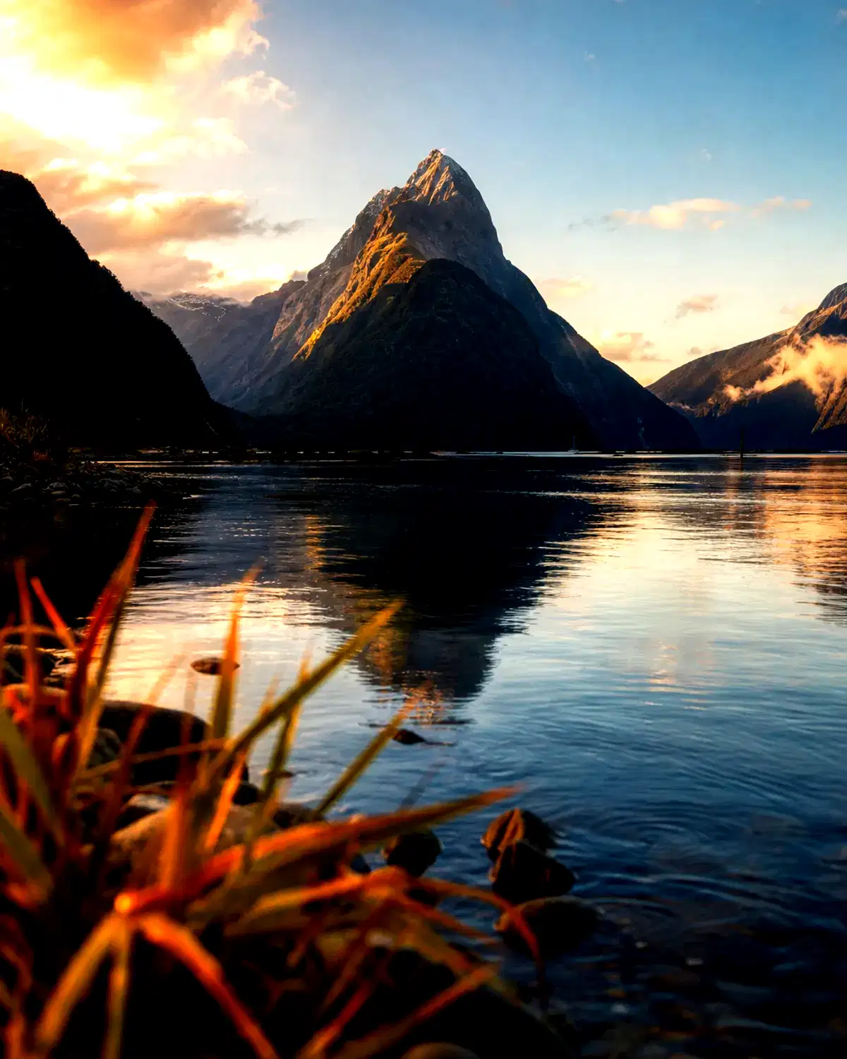 New Zealand landscape