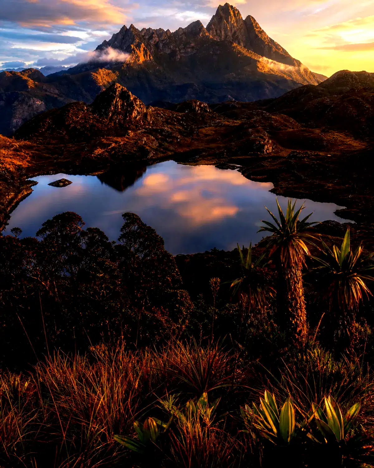 Papua New Guinea landscape
