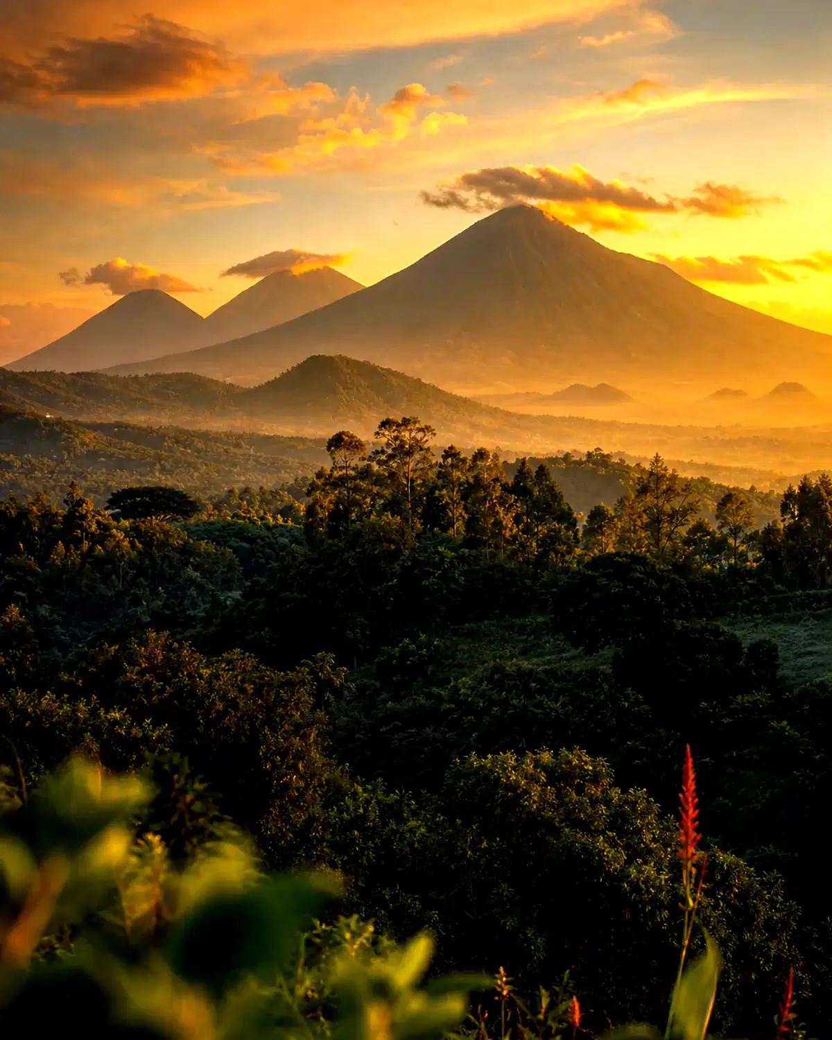 Rwanda landscape