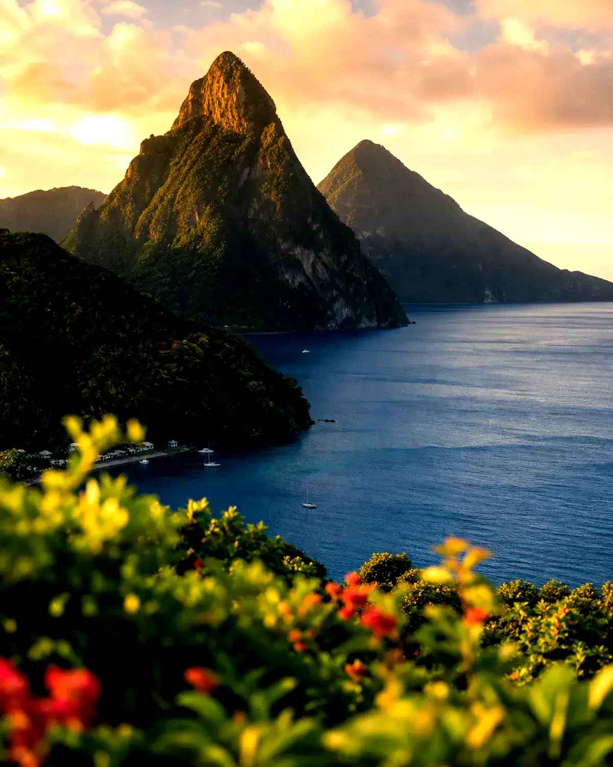 Saint Lucia landscape
