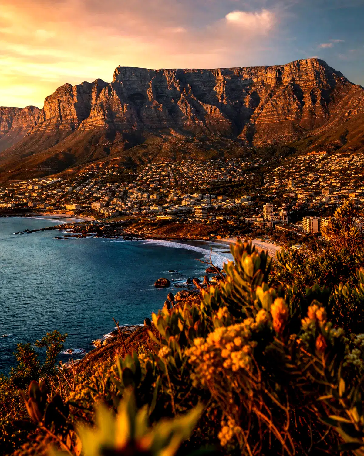 South Africa landscape