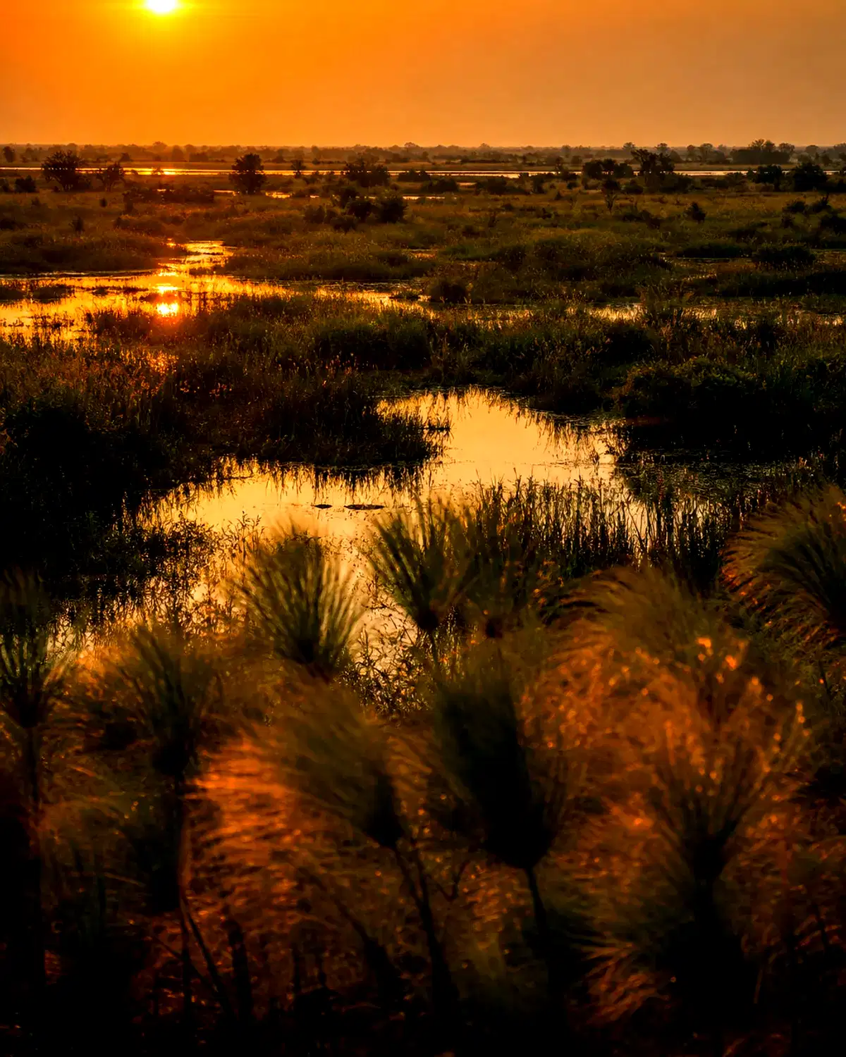 South Sudan landscape