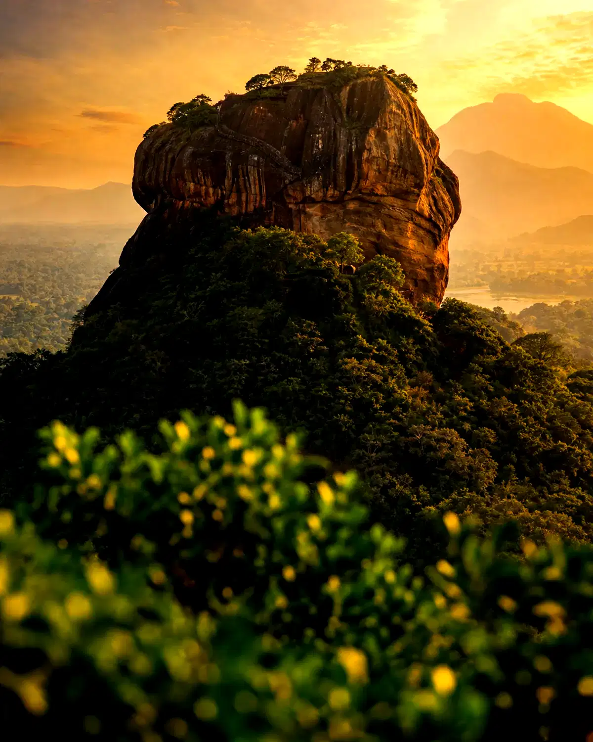 Sri Lanka landscape