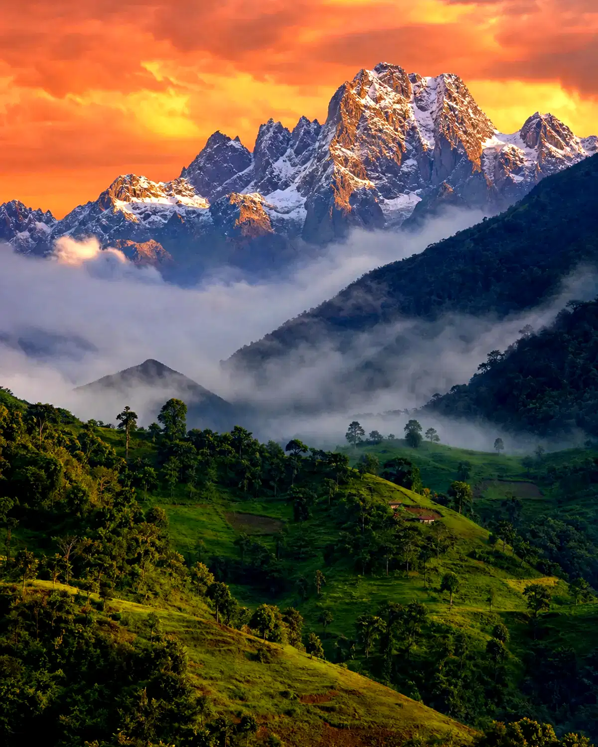 Uganda landscape