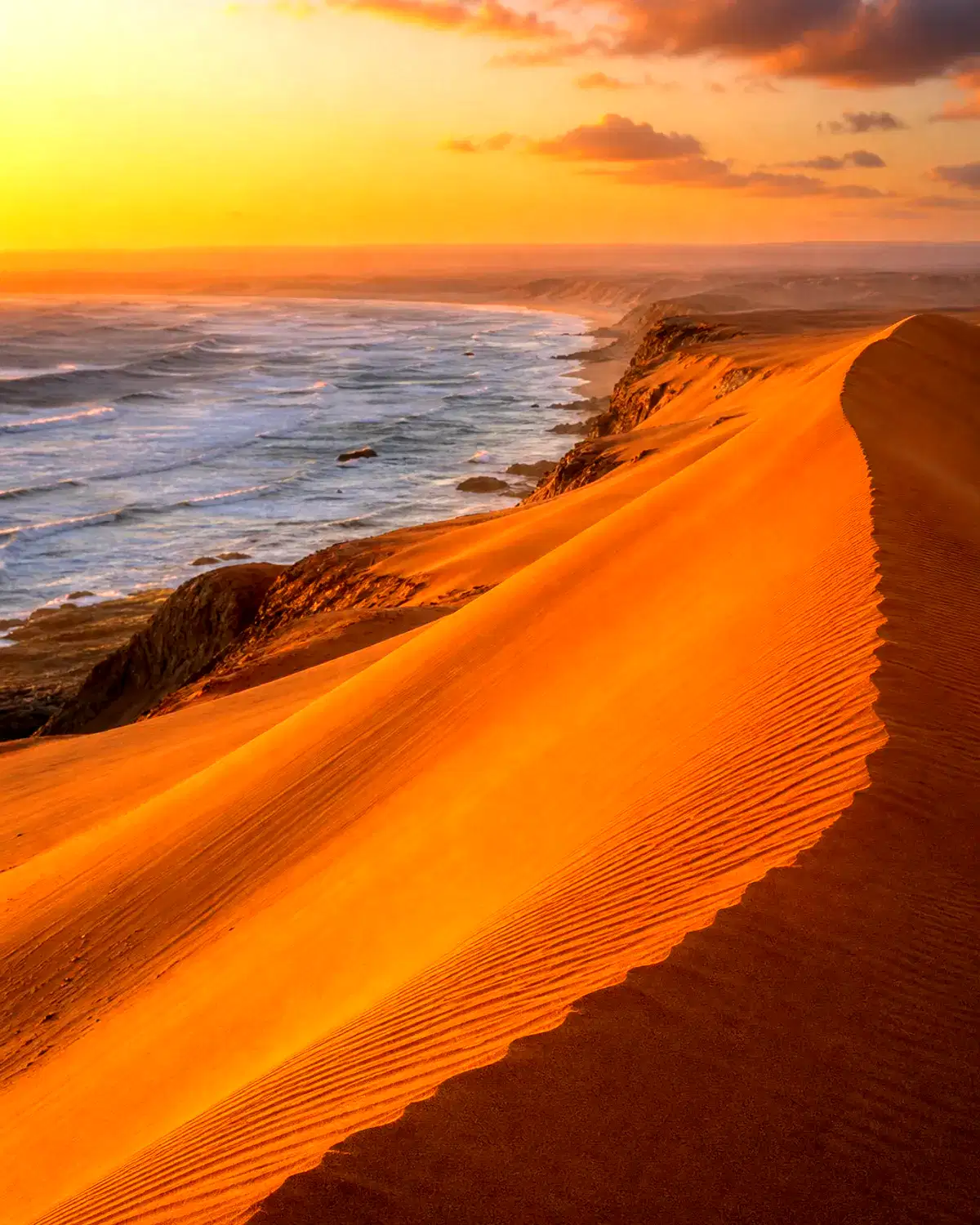 Western Sahara landscape